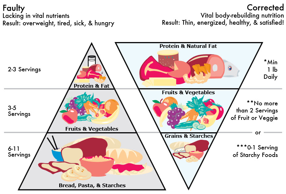 corrected pyramid 2 - Creative Natural Health